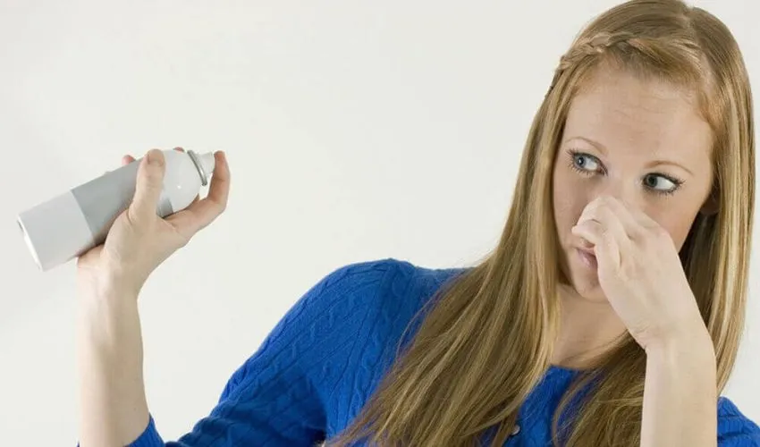 How to Remove Paint Smell from Home