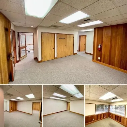 Freshly painted office walls add vibrancy and charm